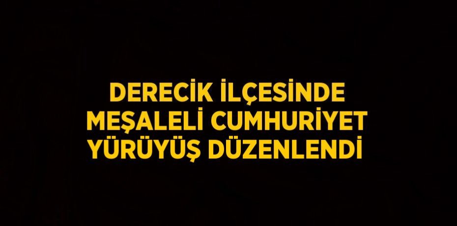 DERECİK İLÇESİNDE MEŞALELİ CUMHURİYET YÜRÜYÜŞ DÜZENLENDİ