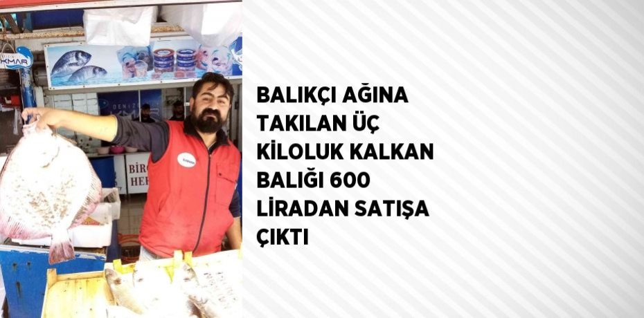 BALIKÇI AĞINA TAKILAN ÜÇ KİLOLUK KALKAN BALIĞI 600 LİRADAN SATIŞA ÇIKTI