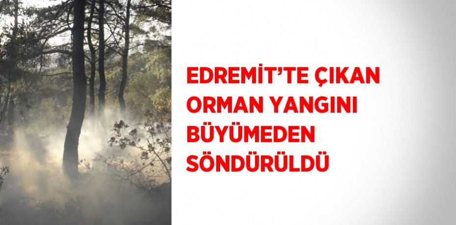 EDREMİT’TE ÇIKAN ORMAN YANGINI BÜYÜMEDEN SÖNDÜRÜLDÜ