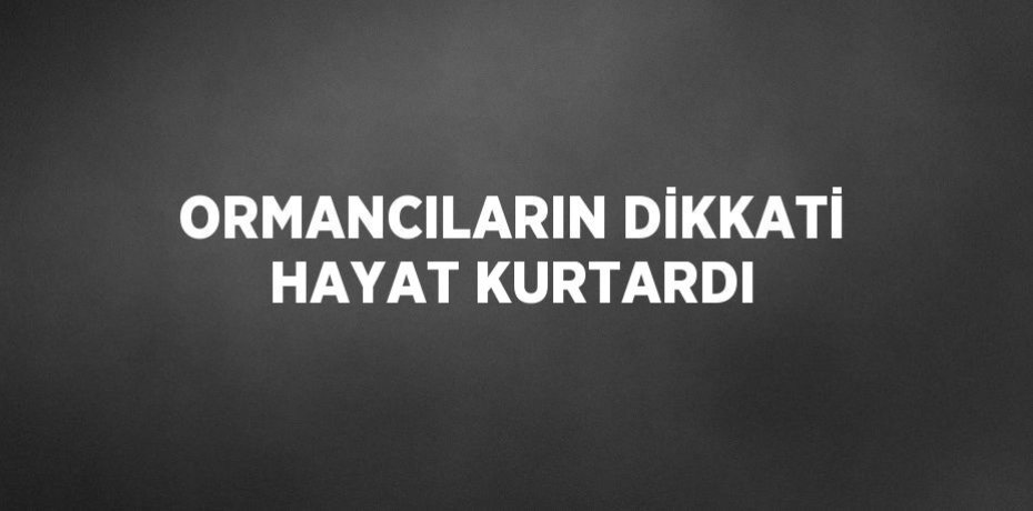 ORMANCILARIN DİKKATİ HAYAT KURTARDI