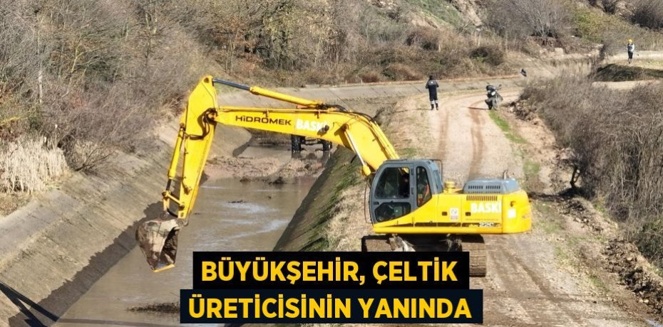 Büyükşehir, çeltik üreticisinin yanında