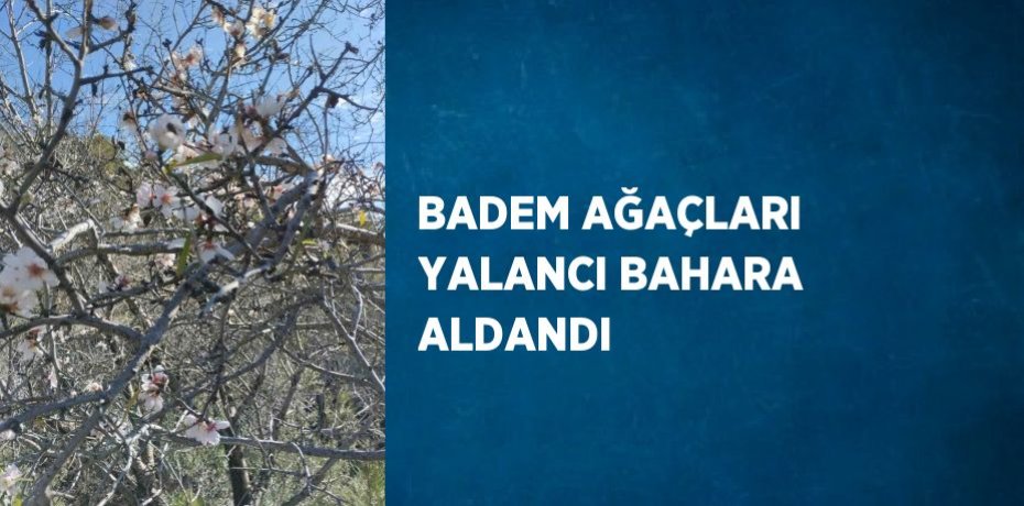 BADEM AĞAÇLARI YALANCI BAHARA ALDANDI