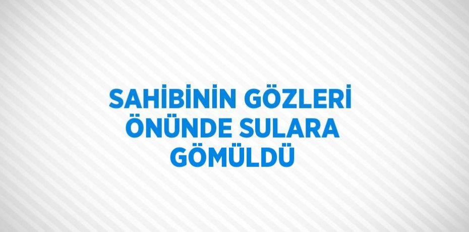 SAHİBİNİN GÖZLERİ ÖNÜNDE SULARA GÖMÜLDÜ