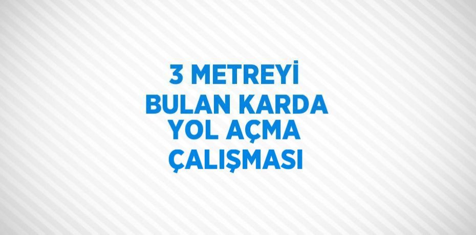 3 METREYİ BULAN KARDA YOL AÇMA ÇALIŞMASI