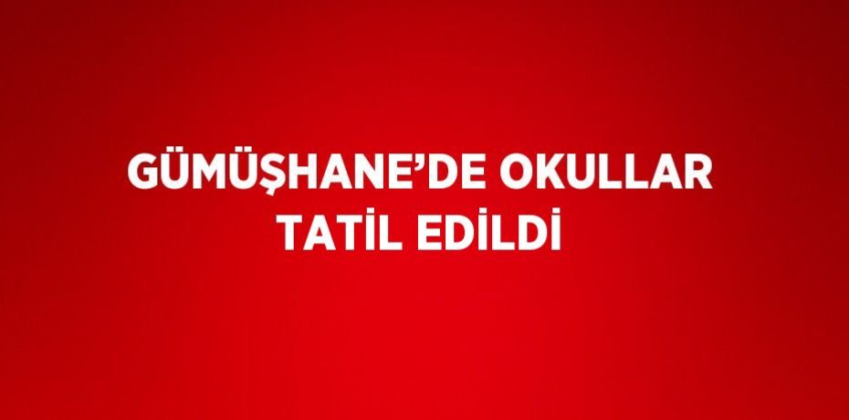 GÜMÜŞHANE’DE OKULLAR TATİL EDİLDİ