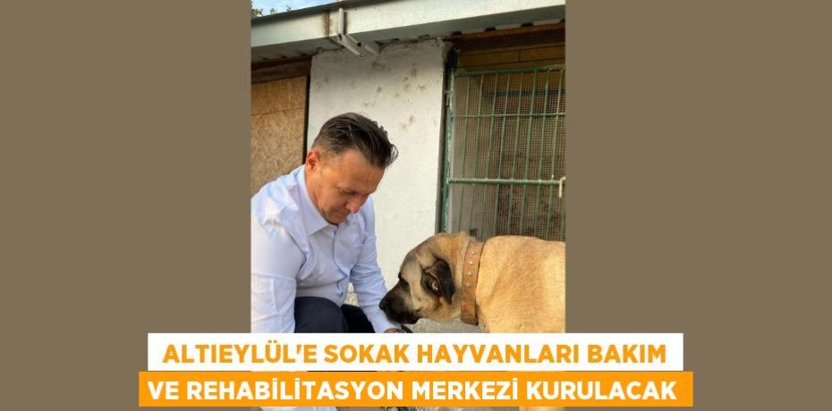  Altıeylül’e Sokak Hayvanları Bakım ve Rehabilitasyon Merkezi Kurulacak