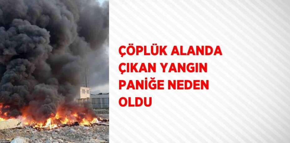 ÇÖPLÜK ALANDA ÇIKAN YANGIN PANİĞE NEDEN OLDU