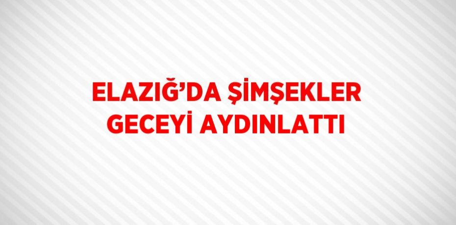 ELAZIĞ’DA ŞİMŞEKLER GECEYİ AYDINLATTI