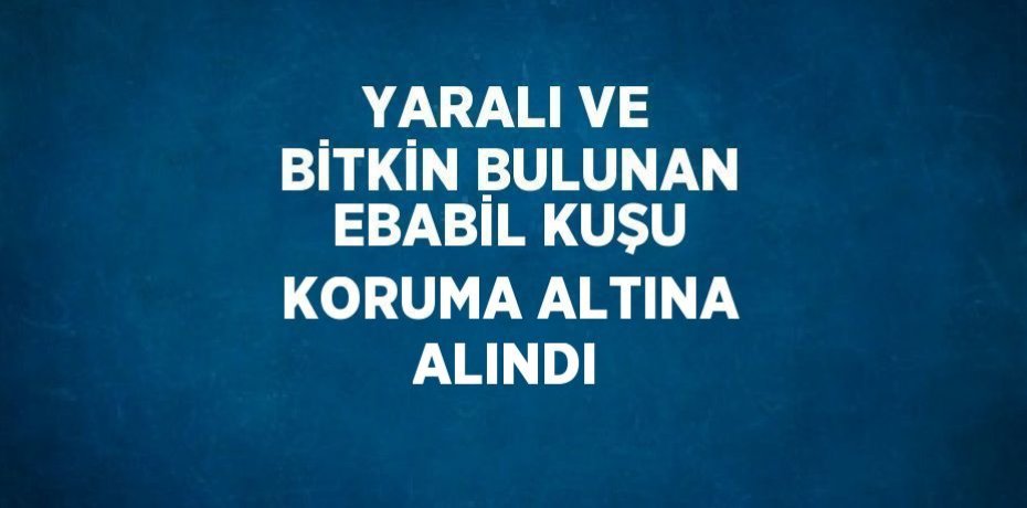 YARALI VE BİTKİN BULUNAN EBABİL KUŞU KORUMA ALTINA ALINDI