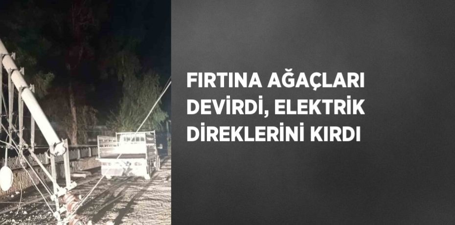 FIRTINA AĞAÇLARI DEVİRDİ, ELEKTRİK DİREKLERİNİ KIRDI