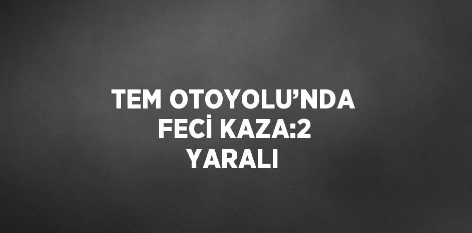 TEM OTOYOLU’NDA FECİ KAZA:2 YARALI