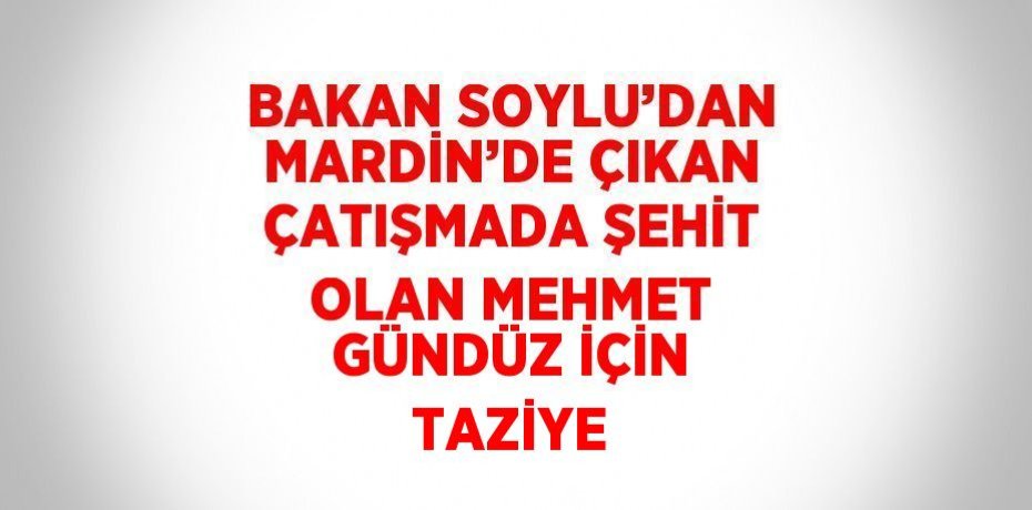 BAKAN SOYLU’DAN MARDİN’DE ÇIKAN ÇATIŞMADA ŞEHİT OLAN MEHMET GÜNDÜZ İÇİN TAZİYE