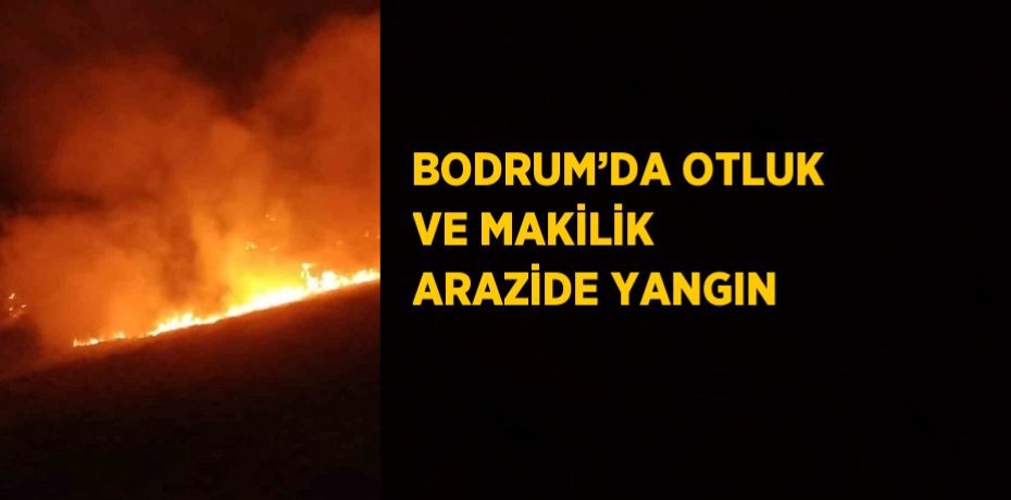 BODRUM’DA OTLUK VE MAKİLİK ARAZİDE YANGIN