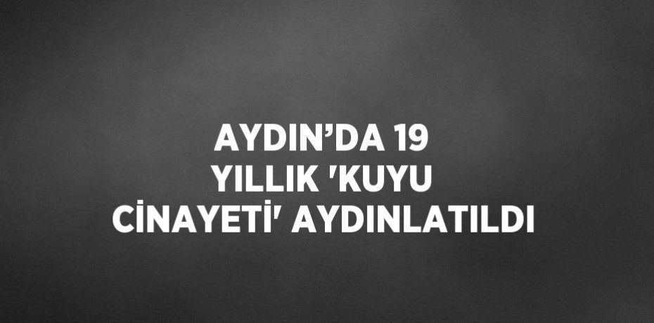 AYDIN’DA 19 YILLIK 'KUYU CİNAYETİ' AYDINLATILDI