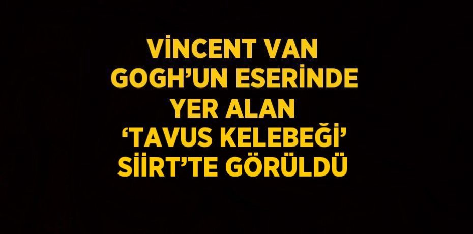 VİNCENT VAN GOGH’UN ESERİNDE YER ALAN ‘TAVUS KELEBEĞİ’ SİİRT’TE GÖRÜLDÜ