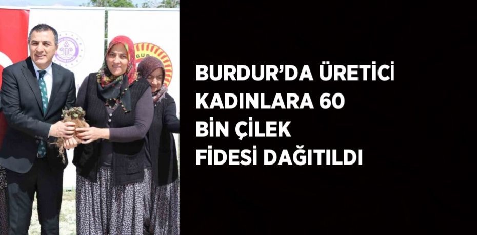 BURDUR’DA ÜRETİCİ KADINLARA 60 BİN ÇİLEK FİDESİ DAĞITILDI