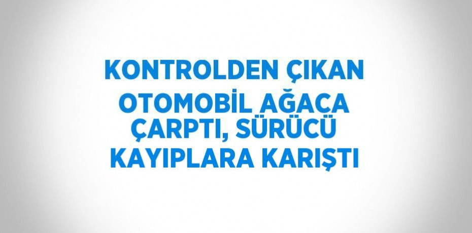 KONTROLDEN ÇIKAN OTOMOBİL AĞACA ÇARPTI, SÜRÜCÜ KAYIPLARA KARIŞTI
