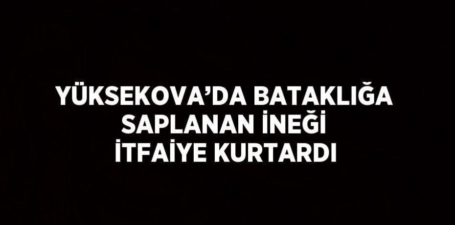 YÜKSEKOVA’DA BATAKLIĞA SAPLANAN İNEĞİ İTFAİYE KURTARDI