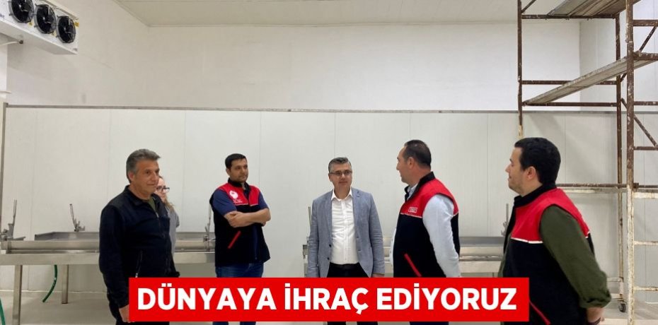 Dünyaya ihraç ediyoruz