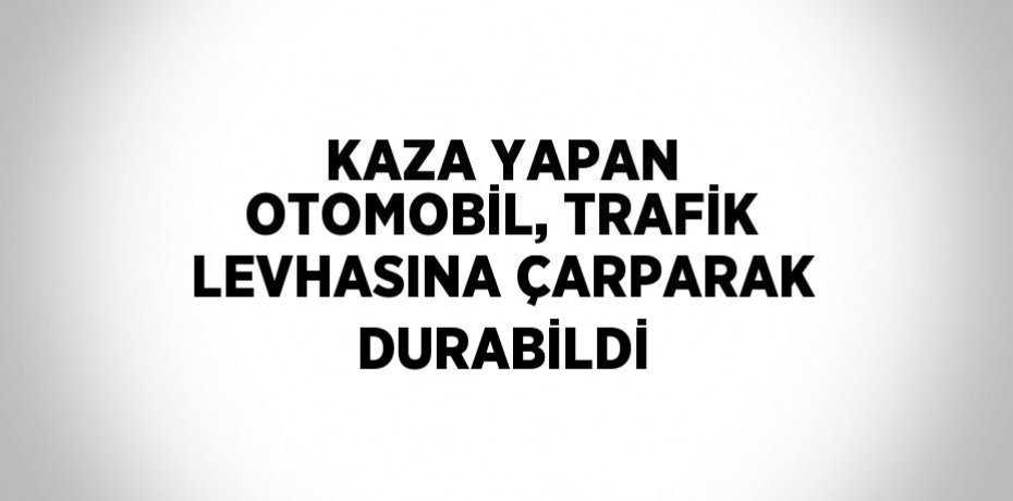 KAZA YAPAN OTOMOBİL, TRAFİK LEVHASINA ÇARPARAK DURABİLDİ