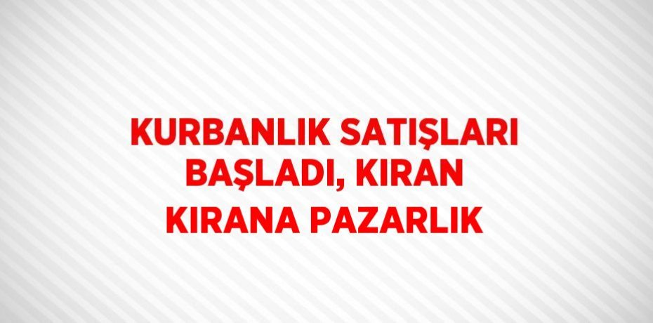 KURBANLIK SATIŞLARI BAŞLADI, KIRAN KIRANA PAZARLIK