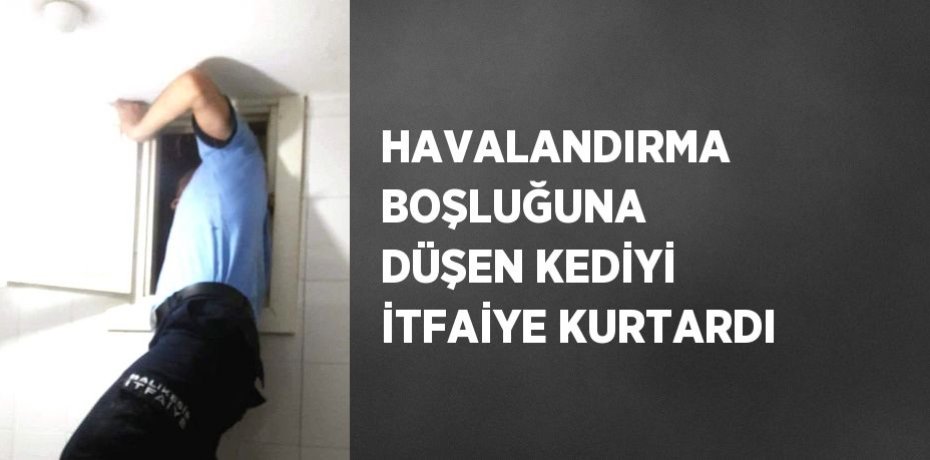 HAVALANDIRMA BOŞLUĞUNA DÜŞEN KEDİYİ İTFAİYE KURTARDI