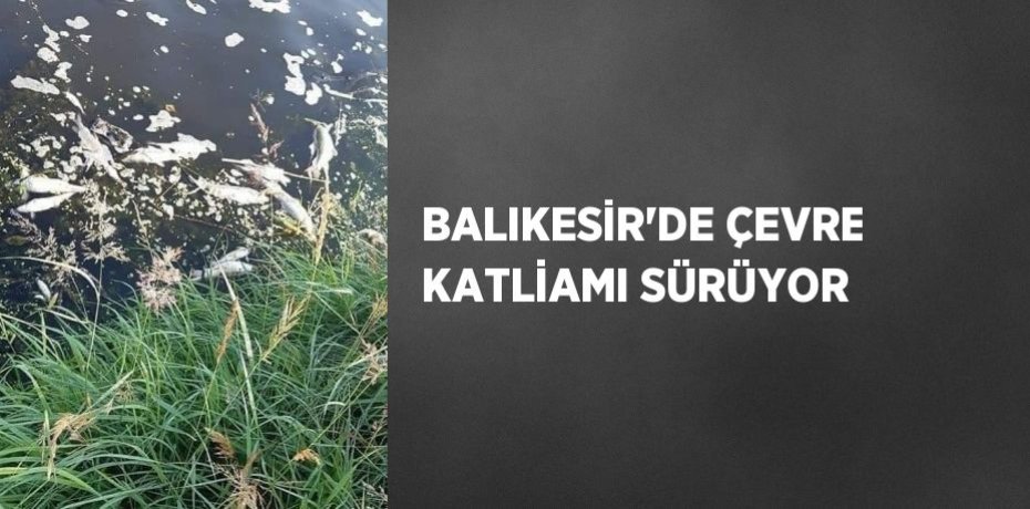 BALIKESİR’DE ÇEVRE KATLİAMI SÜRÜYOR