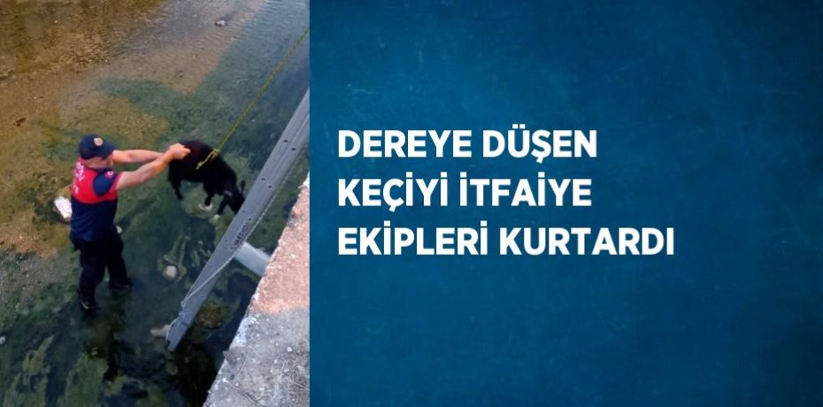 DEREYE DÜŞEN KEÇİYİ İTFAİYE EKİPLERİ KURTARDI