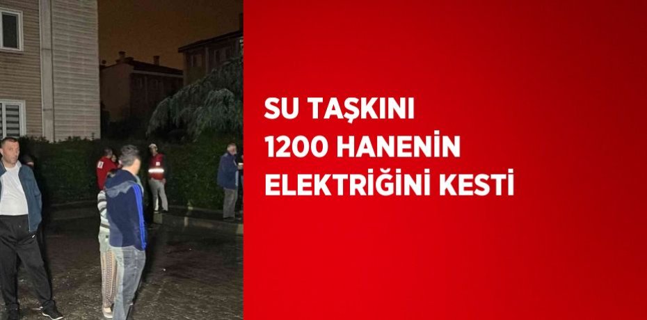 SU TAŞKINI 1200 HANENİN ELEKTRİĞİNİ KESTİ