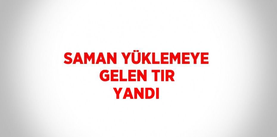 SAMAN YÜKLEMEYE GELEN TIR YANDI