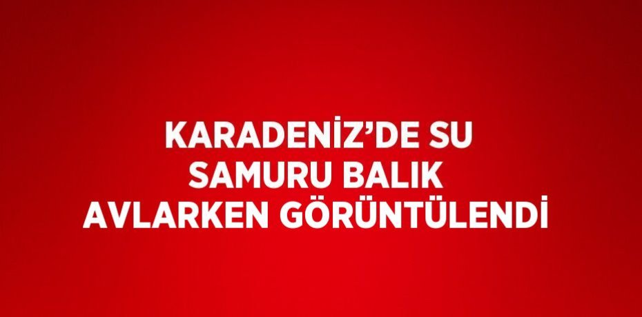 KARADENİZ’DE SU SAMURU BALIK AVLARKEN GÖRÜNTÜLENDİ