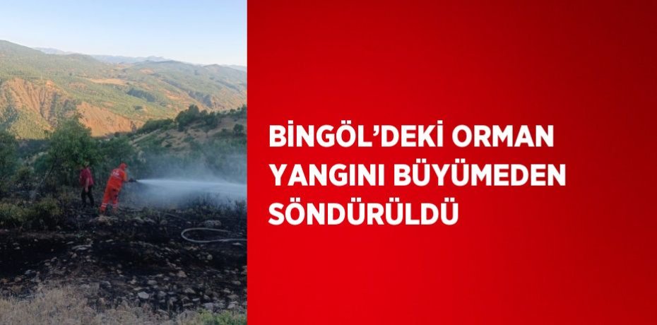 BİNGÖL’DEKİ ORMAN YANGINI BÜYÜMEDEN SÖNDÜRÜLDÜ