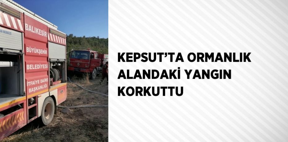 KEPSUT’TA ORMANLIK ALANDAKİ YANGIN KORKUTTU