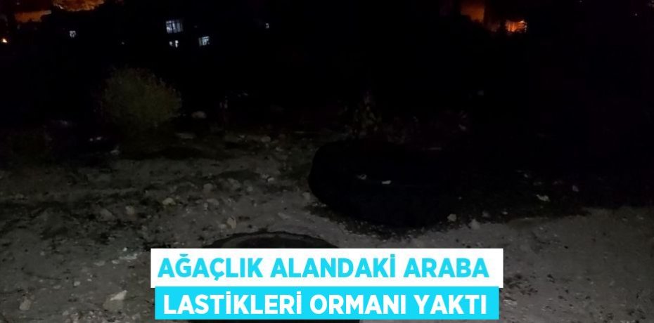AĞAÇLIK ALANDAKİ ARABA LASTİKLERİ ORMANI YAKTI