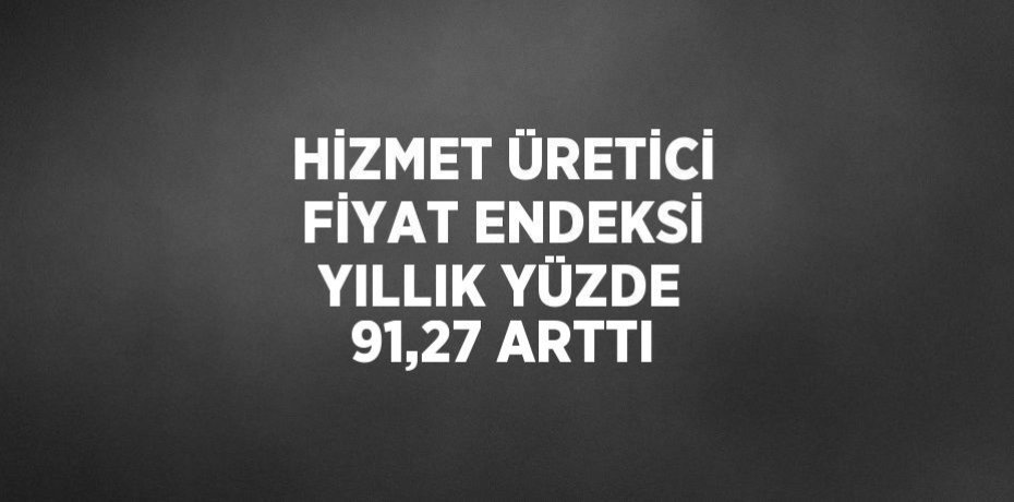 HİZMET ÜRETİCİ FİYAT ENDEKSİ YILLIK YÜZDE 91,27 ARTTI