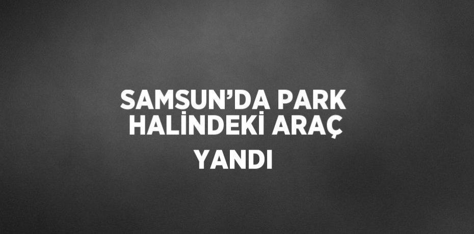 SAMSUN’DA PARK HALİNDEKİ ARAÇ YANDI