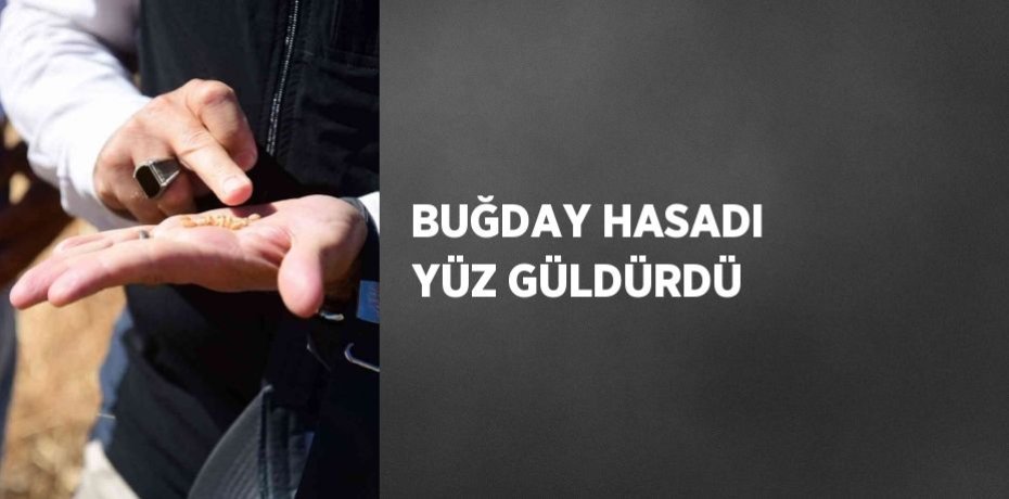 BUĞDAY HASADI YÜZ GÜLDÜRDÜ