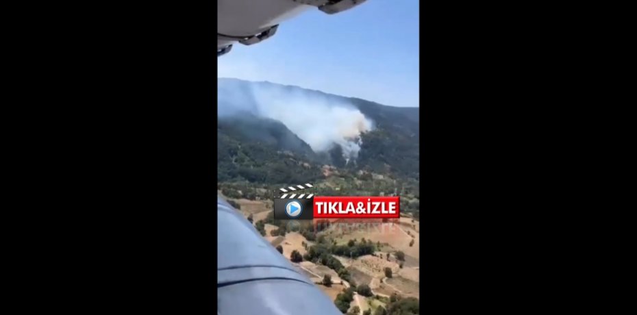 İVRİNDİ'DE ORMAN YANGINI