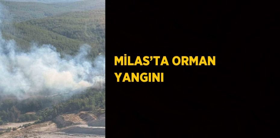 MİLAS’TA ORMAN YANGINI