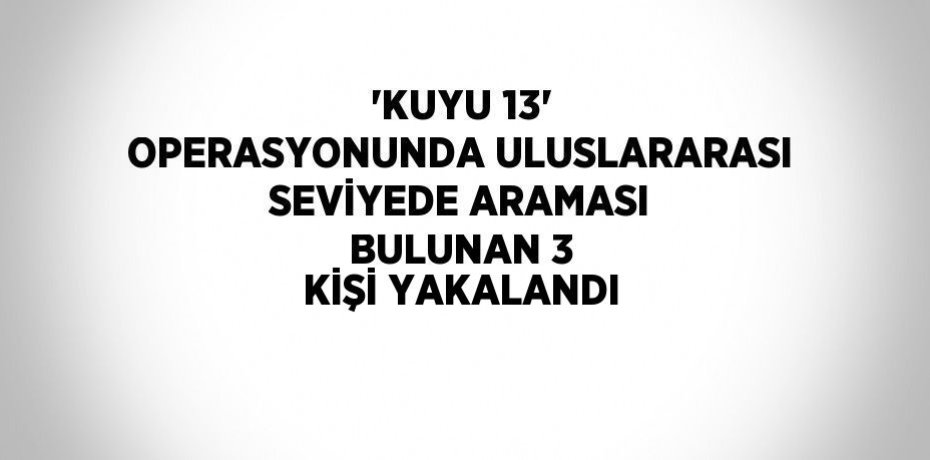 'KUYU 13' OPERASYONUNDA ULUSLARARASI SEVİYEDE ARAMASI BULUNAN 3 KİŞİ YAKALANDI