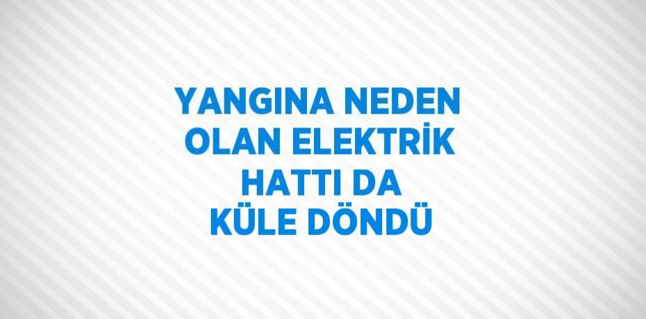 YANGINA NEDEN OLAN ELEKTRİK HATTI DA KÜLE DÖNDÜ