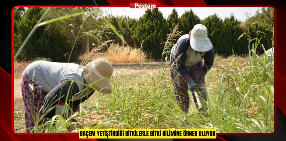BAÇEM YETİŞTİRDİĞİ BİTKİLERLE BİTKİ BİLİMİNE ÖRNEK OLUYOR