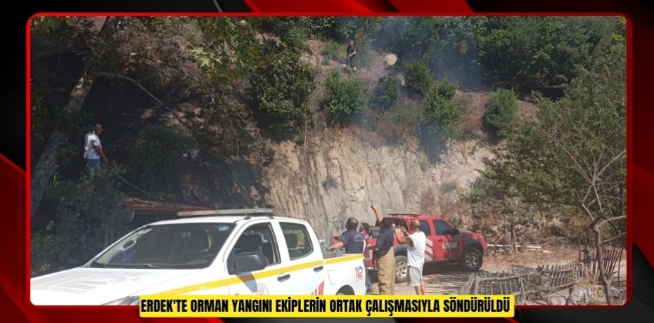 Erdek'te orman yangını ekiplerin ortak çalışmasıyla söndürüldü  
