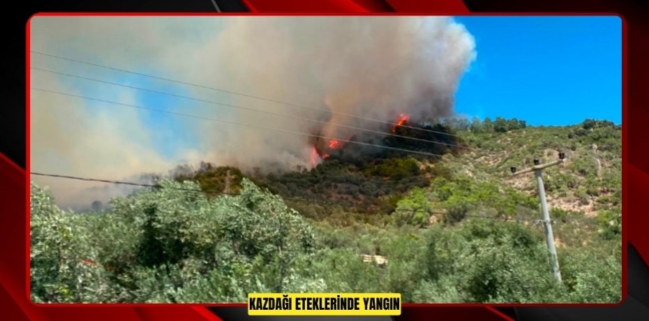 Kazdağı eteklerinde yangın  