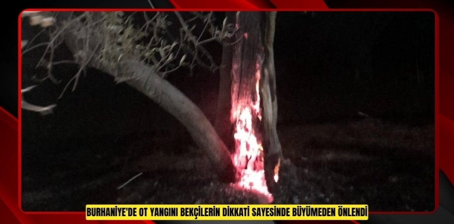 Burhaniye'de ot yangını bekçilerin dikkati sayesinde büyümeden önlendi  