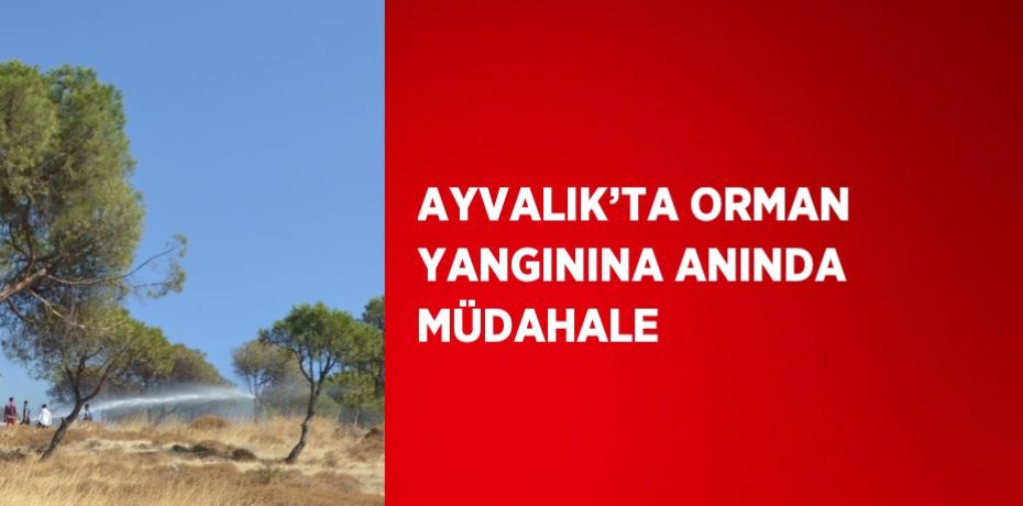 AYVALIK’TA ORMAN YANGININA ANINDA MÜDAHALE
