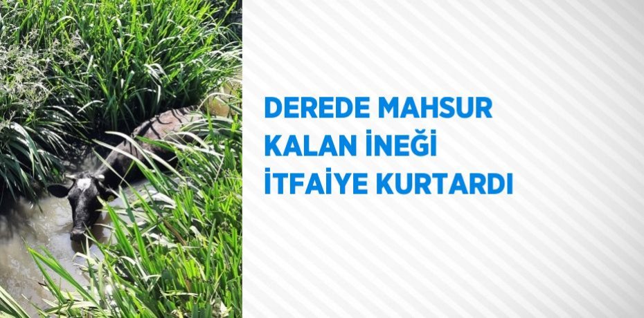 DEREDE MAHSUR KALAN İNEĞİ İTFAİYE KURTARDI