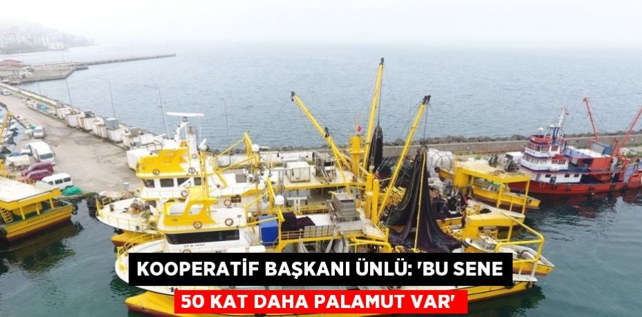 KOOPERATİF BAŞKANI ÜNLÜ: 'BU SENE 50 KAT DAHA PALAMUT VAR'