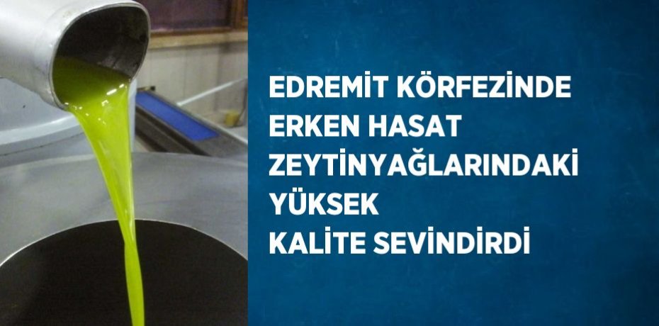 EDREMİT KÖRFEZİNDE ERKEN HASAT ZEYTİNYAĞLARINDAKİ YÜKSEK KALİTE SEVİNDİRDİ