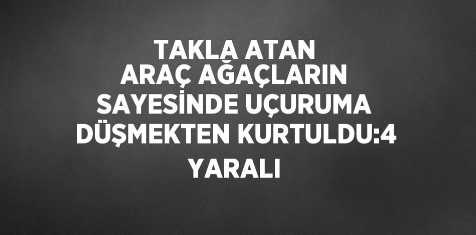 TAKLA ATAN ARAÇ AĞAÇLARIN SAYESİNDE UÇURUMA DÜŞMEKTEN KURTULDU:4 YARALI
